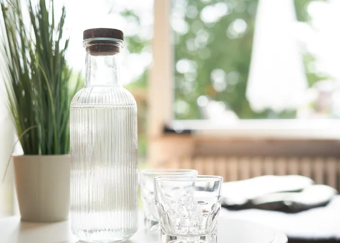 Haus Raketin Sprotte 公寓 *