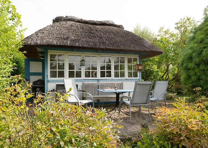 Haus Raketin Sprotte *